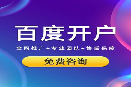 竞价排名在电商行业的实战案例